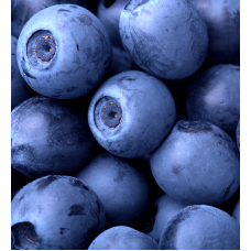 Blueberry